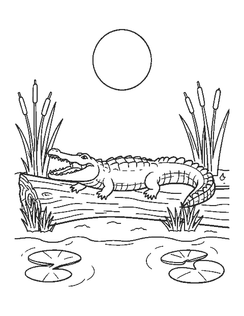 Line drawing of an alligator with open jaws lying on a log beside a turtle on a rock