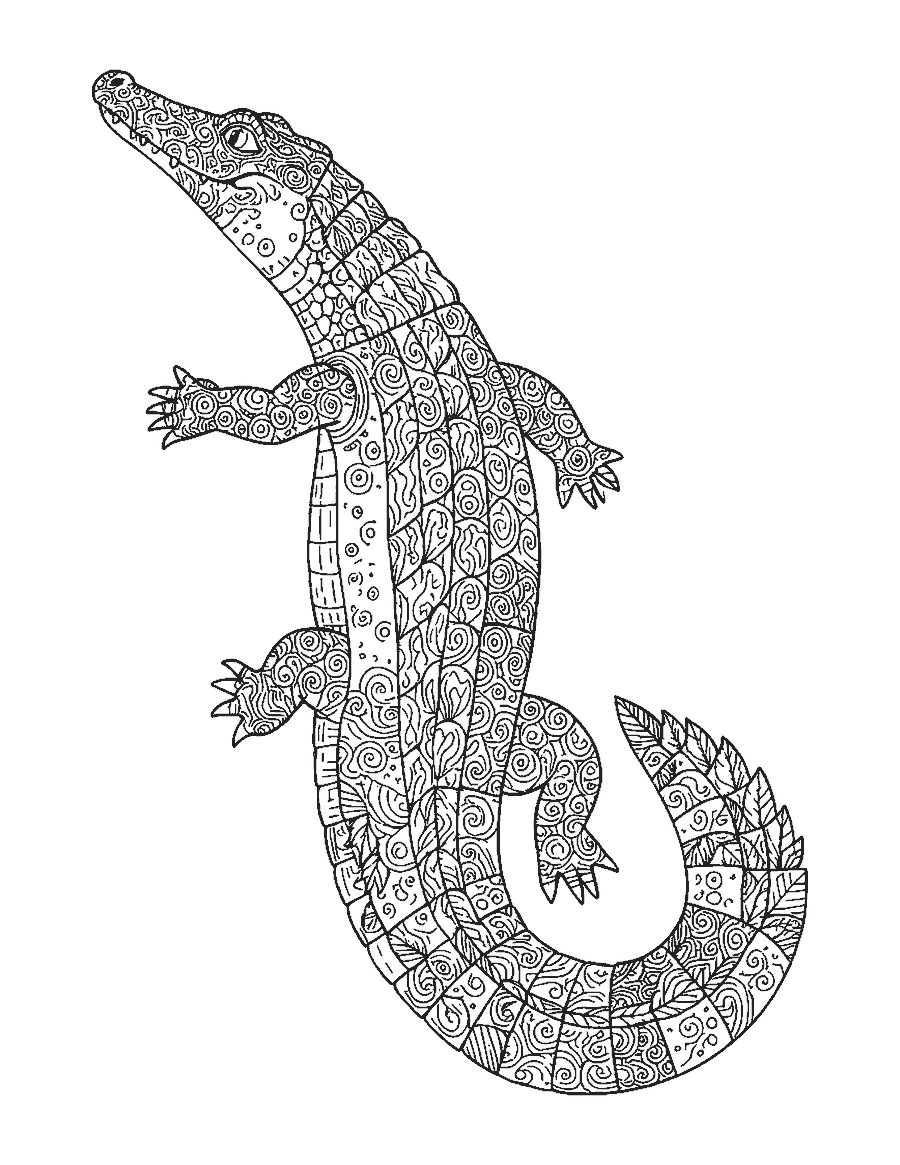 Line drawing of a crocodile seen from above filled with doodle patterns