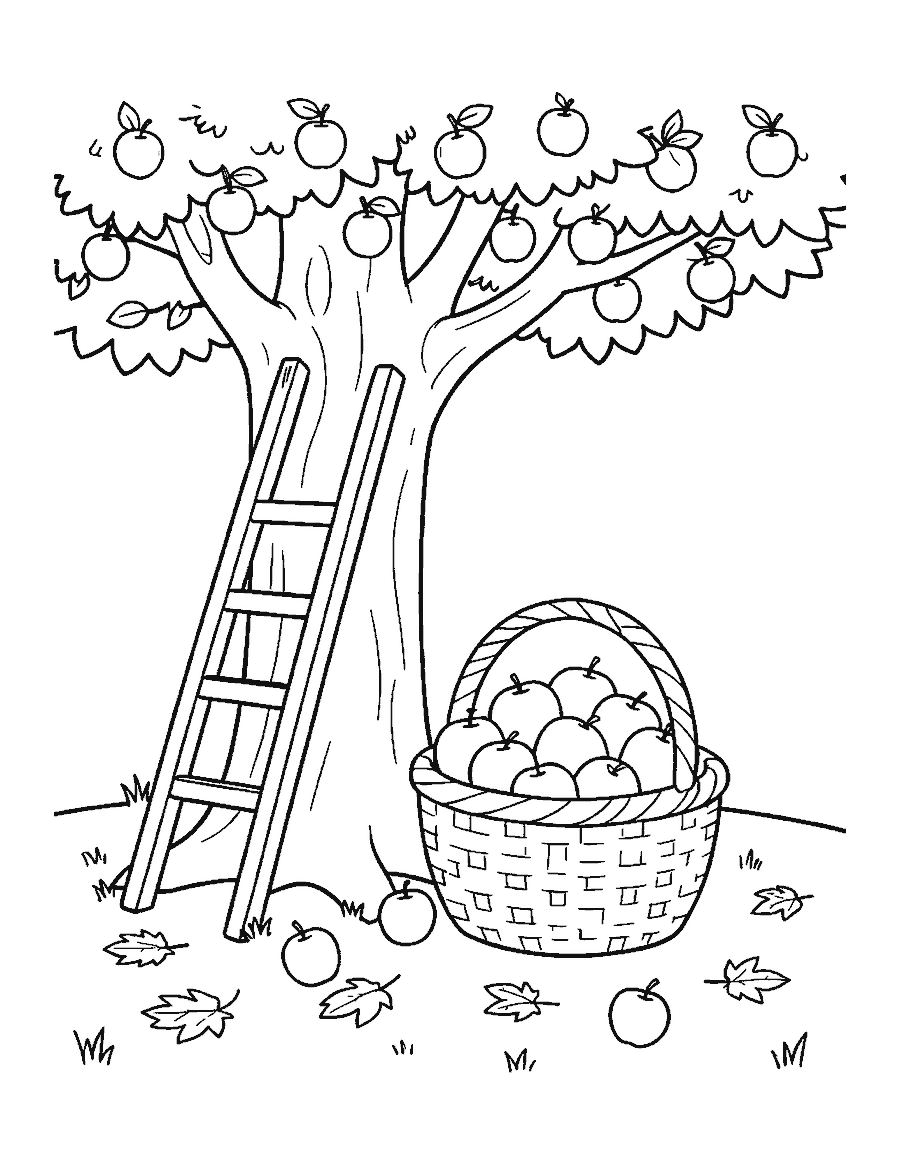 Line drawing of a basket heaped with apples beside a ladder leaning on an apple tree