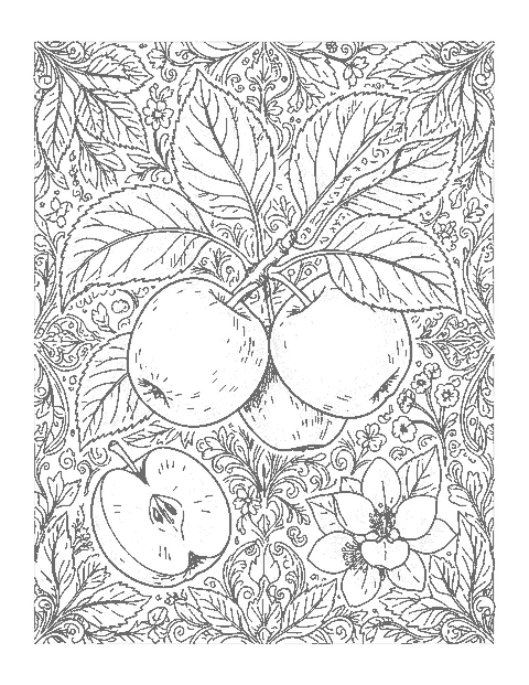 Line drawing of a realistic apple branch with ripe apples, veined leaves, a sliced half and blossoms