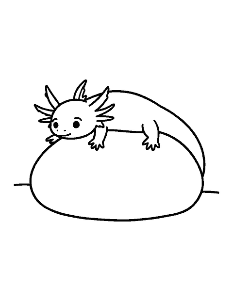 Line drawing of an axolotl lying on top of a smooth rock with its feet over the edge
