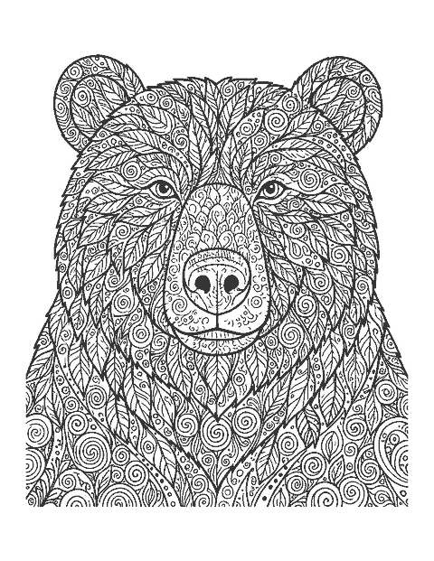 Line drawing of a brown bear's head with its fur filled with doodle patterns