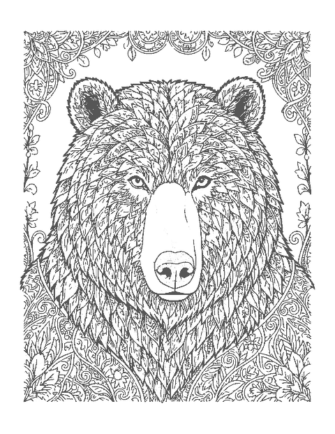 Line drawing of a realistic grizzly bear's head and shoulder hump with thick tufted fur