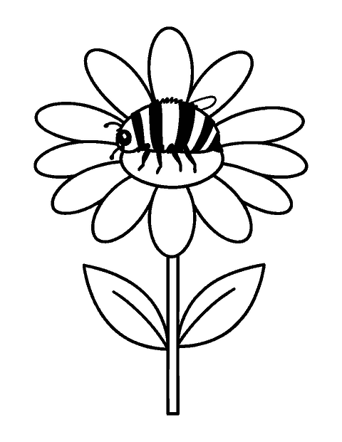 Line drawing of a fuzzy bumblebee landing on a large daisy