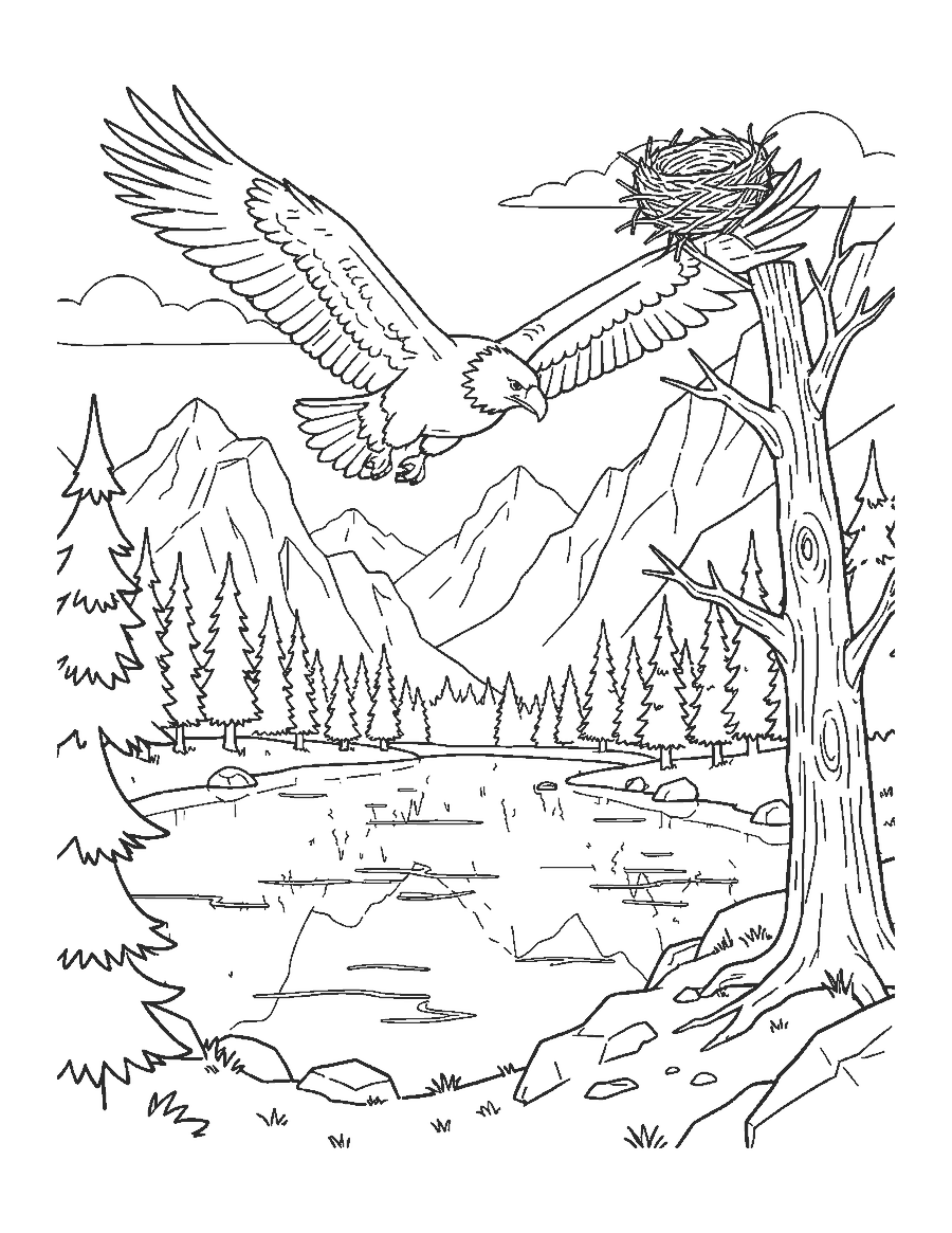 Line drawing of a bald eagle soaring over a mountain lake surrounded by pines