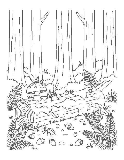 Line drawing of a cricket, a beetle and a butterfly on a mossy log in the woods