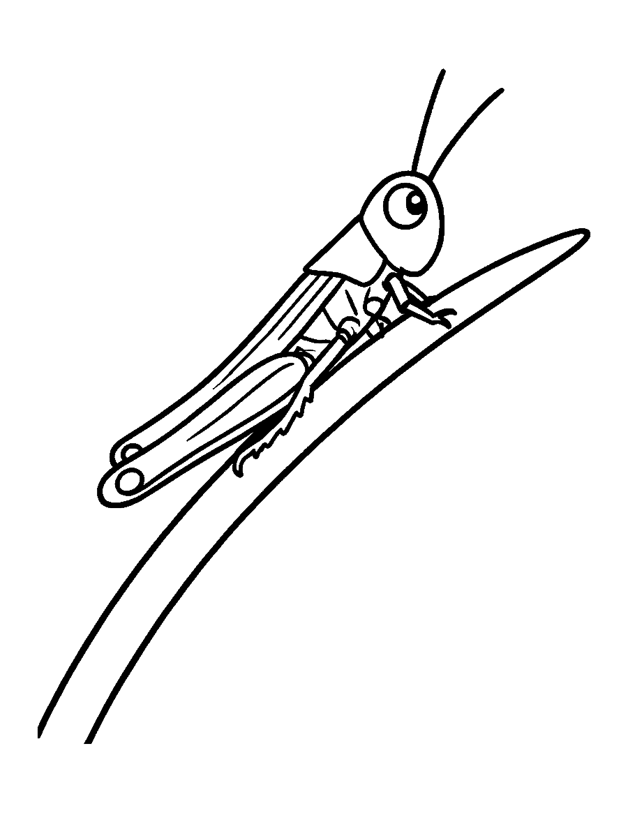 Line drawing of a grasshopper with long back legs perched on a blade of grass