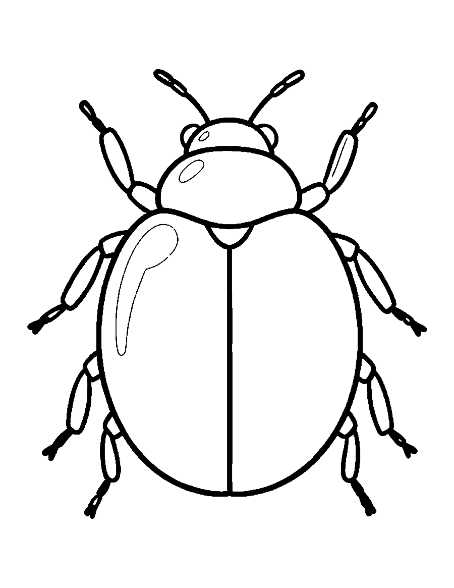 Line drawing of a round beetle seen from above with six legs and two antennae