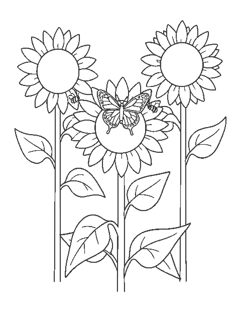 Line drawing of a butterfly resting on a large sunflower with two more sunflowers and a bee