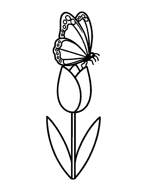 Line drawing of a butterfly with folded wings resting on top of a tulip