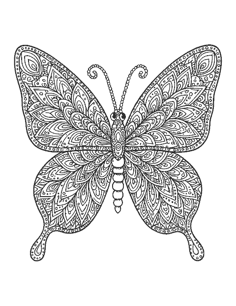 Line drawing of a symmetrical butterfly with each wing filled with a detailed mandala