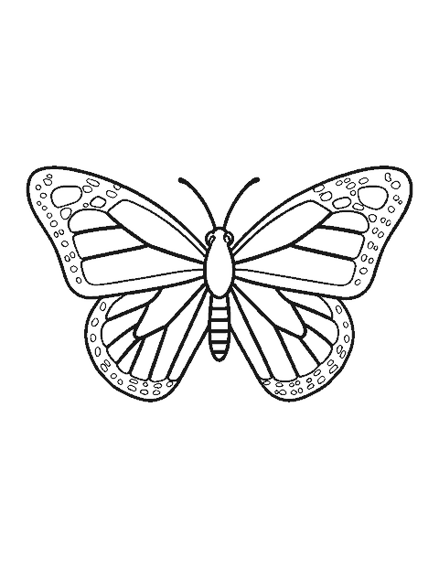 Line drawing of a monarch butterfly with open wings, bold veins and dotted edges