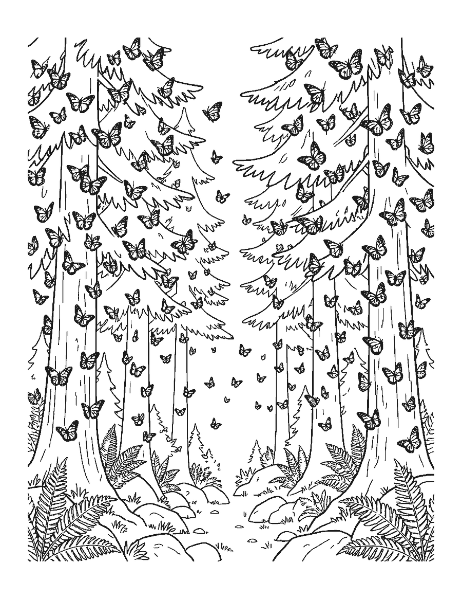 Line drawing of thousands of monarch butterflies clustered on fir branches in a mountain forest