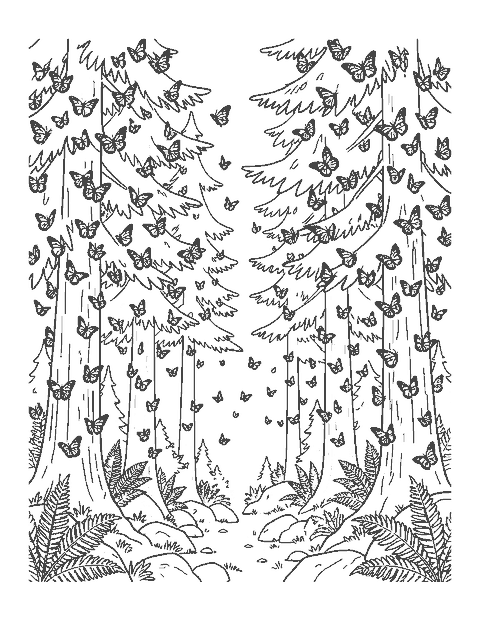 Line drawing of thousands of monarch butterflies clustered on fir branches in a mountain forest