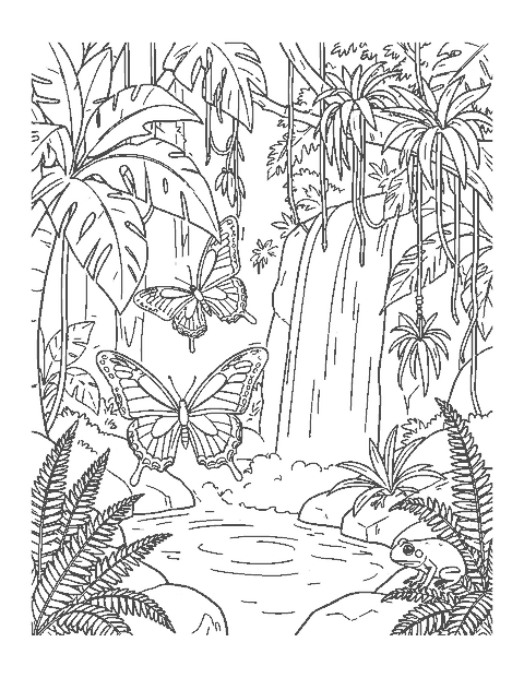 Line drawing of morpho butterflies flying near a rainforest waterfall with vines and a tree frog