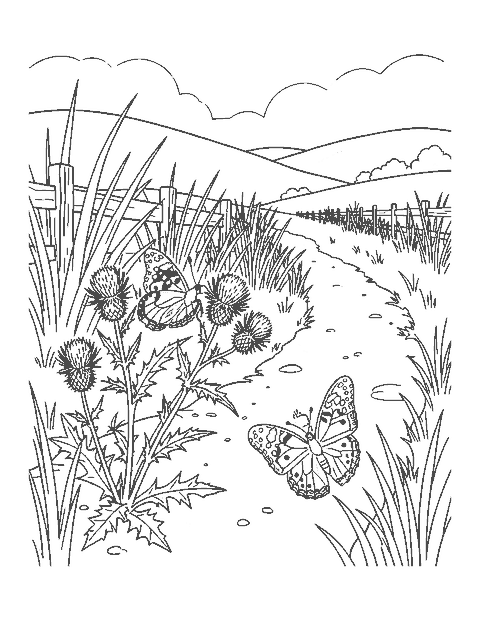 Line drawing of three painted lady butterflies on thistles beside a path, grasses and hills
