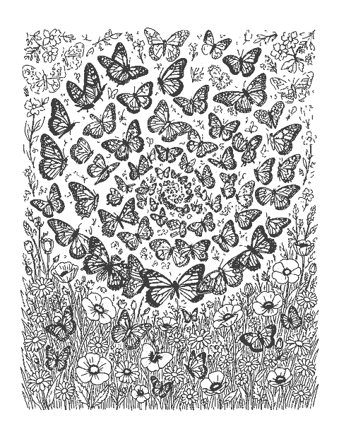 Line drawing of many patterned butterflies rising in a spiral above a bed of wildflowers
