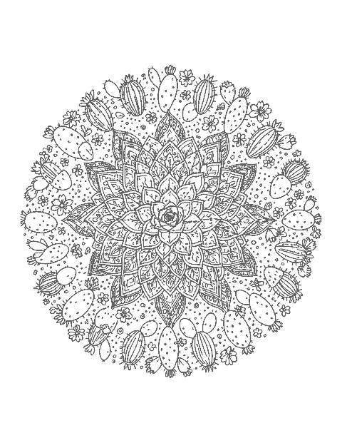 Line drawing of a round mandala of succulent rosettes, small cacti and desert flowers