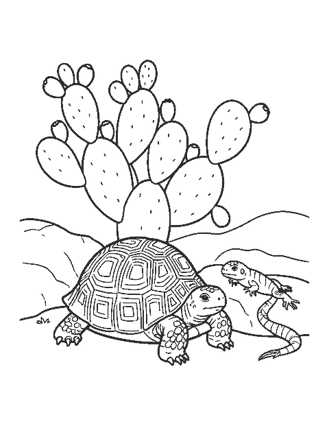 Line drawing of a desert tortoise resting by a prickly pear cactus with a lizard on a rock