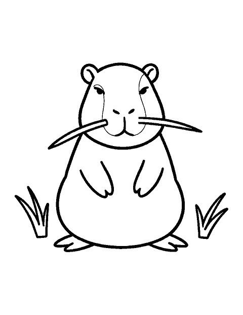 Line drawing of a sitting capybara chewing on a long blade of grass