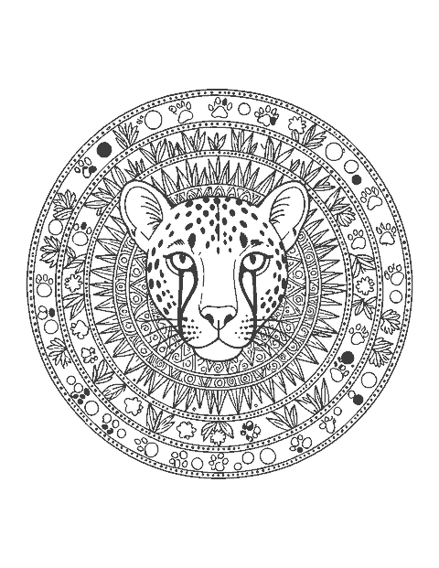 Line drawing of a cheetah face inside a round mandala of grass, leaves and paw prints