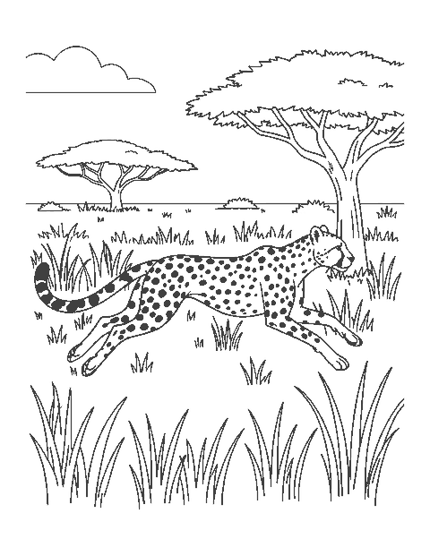 Line drawing of a cheetah running at full speed across the savanna past an acacia tree