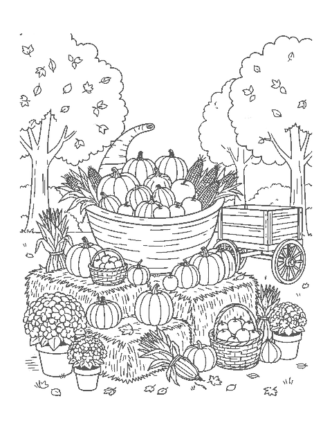Line drawing of a giant cornucopia on hay bales spilling pumpkins, gourds, corn and apples
