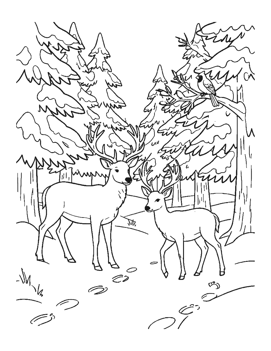 Line drawing of a buck and a doe walking through a snowy pine forest with snowflakes