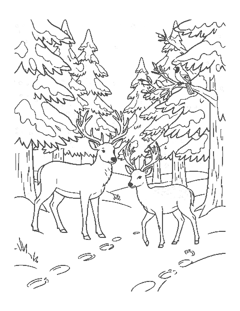 Line drawing of a buck and a doe walking through a snowy pine forest with snowflakes