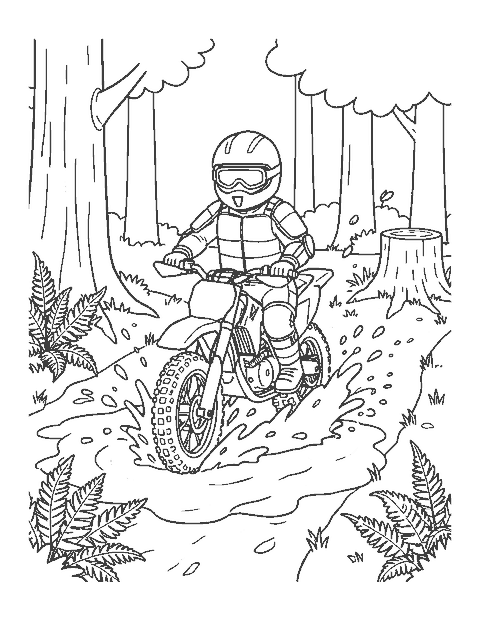 Line drawing of a rider on a dirt bike splashing through a mud puddle on a forest trail