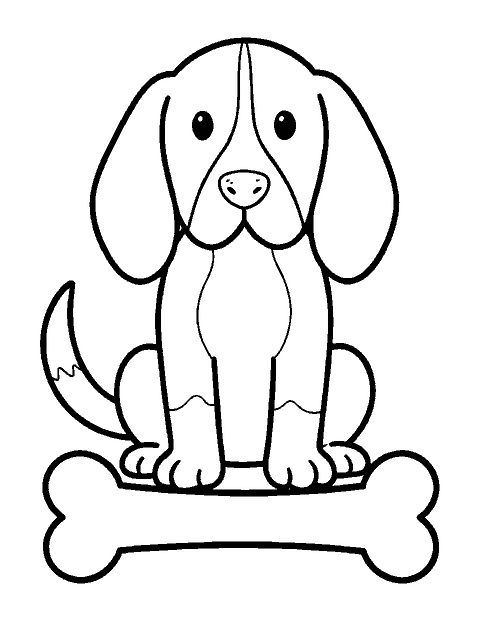 Line drawing of a beagle sitting upright with a big bone in front of its paws