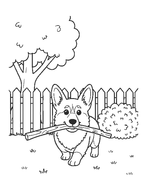 Line drawing of a corgi carrying a stick across a backyard with a picket fence and a tree