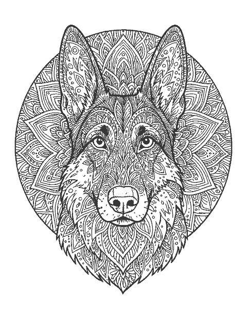 Line drawing of a German shepherd's head filled with mandala patterns in front of a round mandala