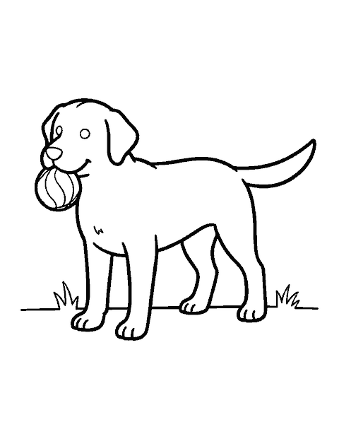 Line drawing of a Labrador retriever holding a ball in its mouth