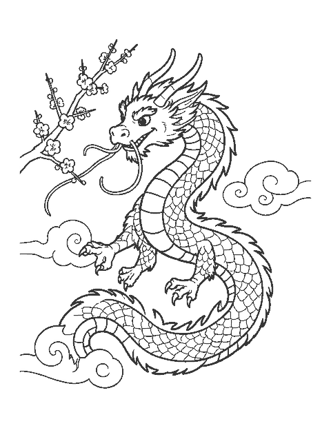 Line drawing of a long Chinese dragon curving past plum blossoms and swirling clouds