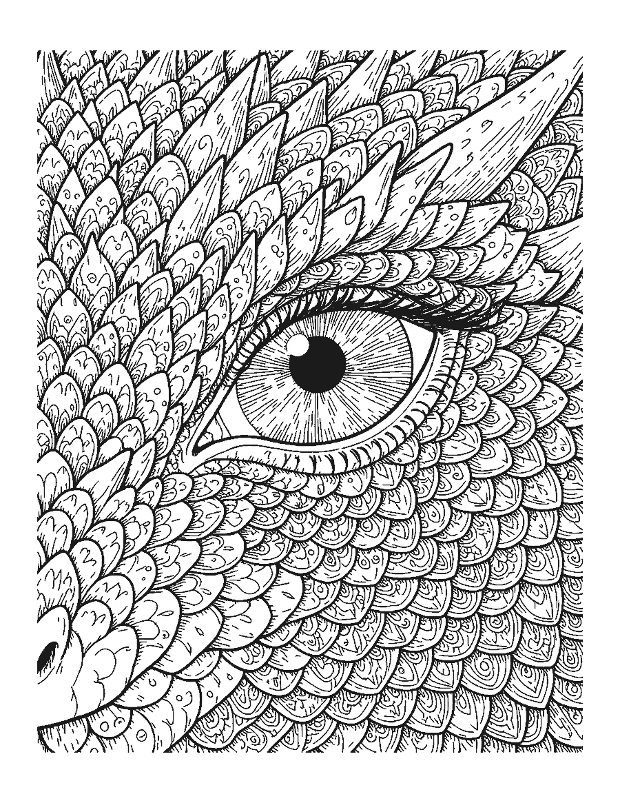 Line drawing close-up of a dragon eye surrounded by many detailed scales