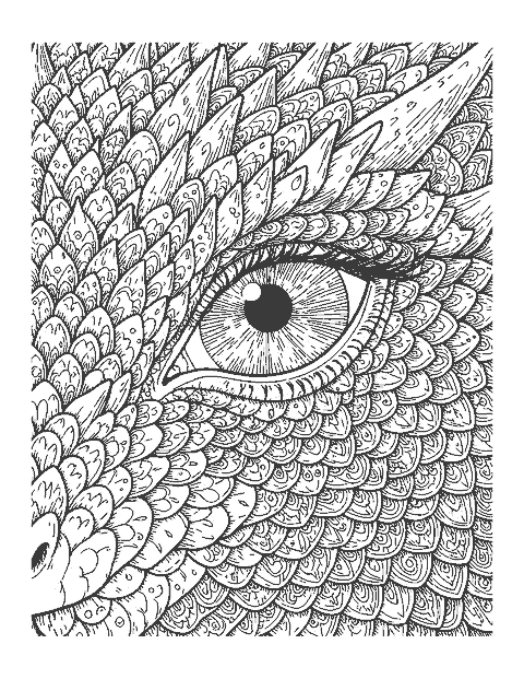 Line drawing close-up of a dragon eye surrounded by many detailed scales