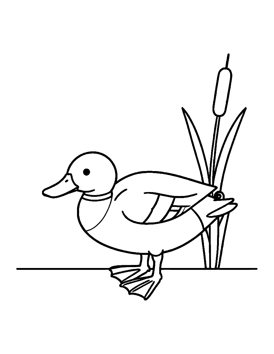 Line drawing of a mallard duck waddling beside a single cattail