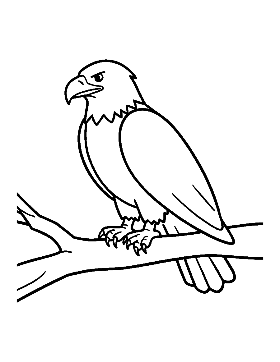 Line drawing of a bald eagle with a hooked beak perched on a thick branch