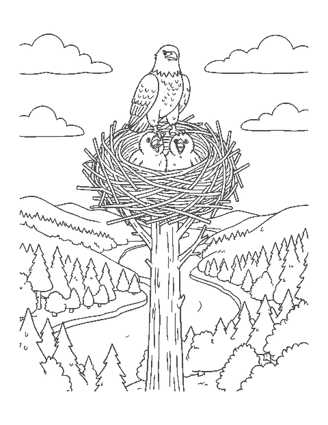Line drawing of a bald eagle and two fluffy eaglets in a big stick nest atop a pine tree