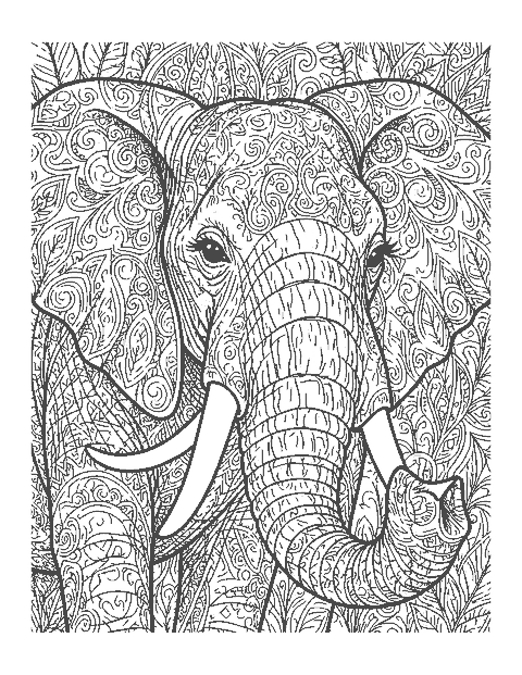Line drawing close-up of an elephant's head with deeply wrinkled skin, tusk and eyelashes