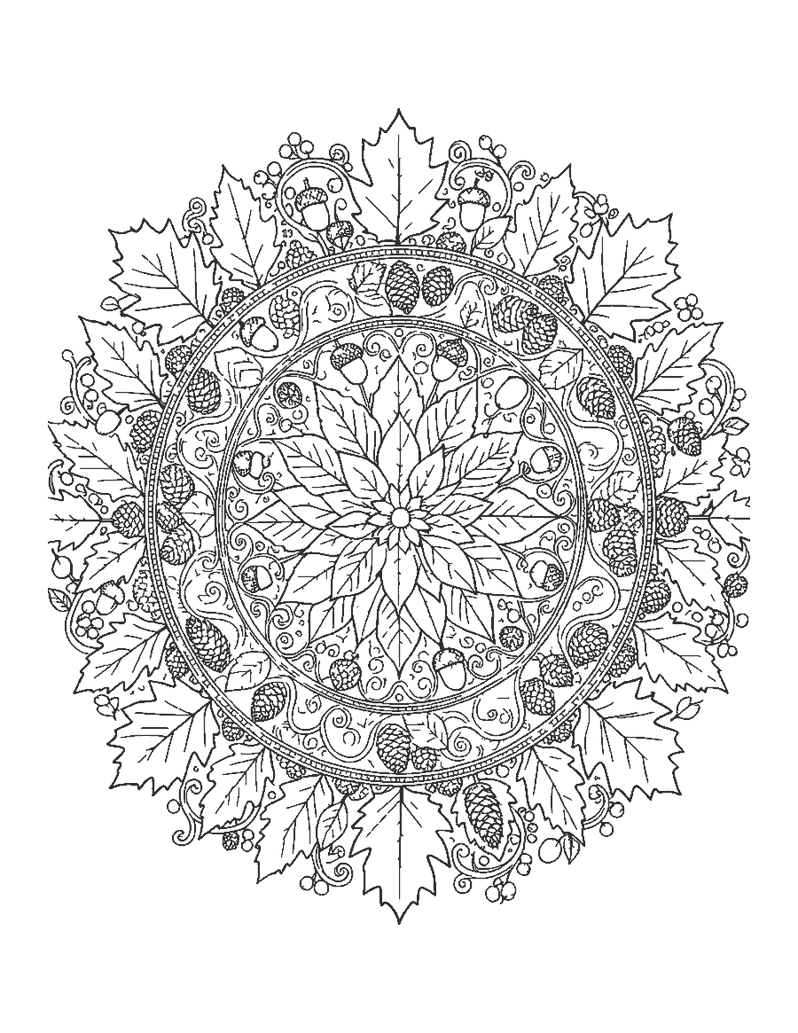 Line drawing of a round mandala of leaves, acorns, pinecones and berries