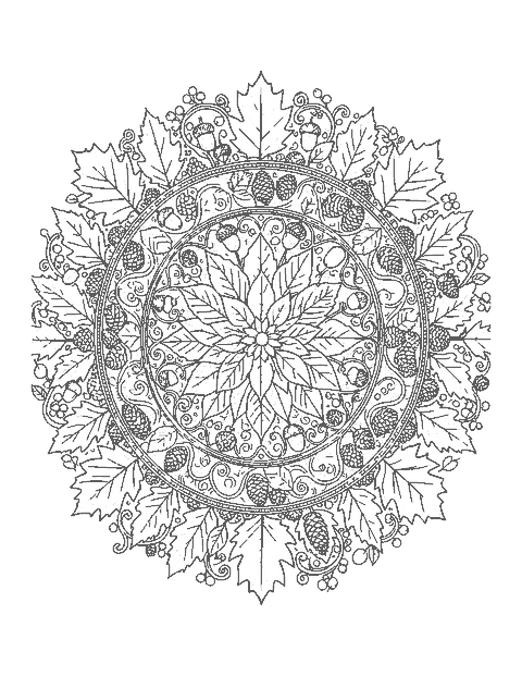 Line drawing of a round mandala of leaves, acorns, pinecones and berries