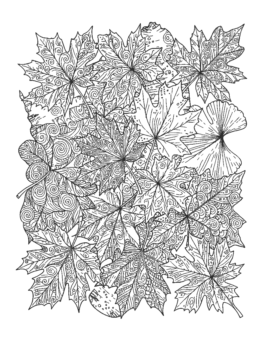 Line drawing of overlapping leaves of five tree types filled with doodle patterns