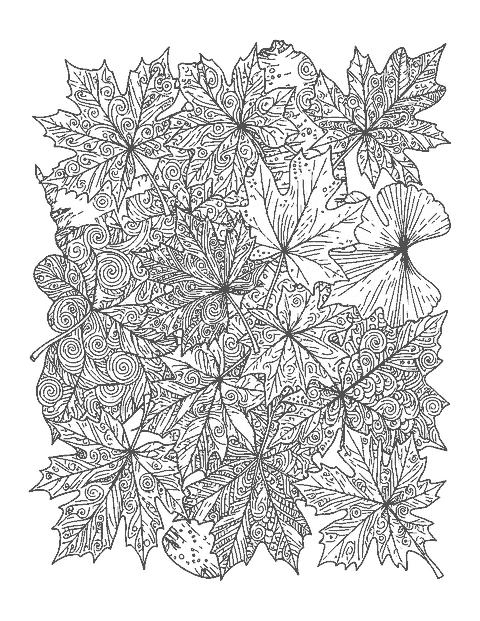 Line drawing of overlapping leaves of five tree types filled with doodle patterns