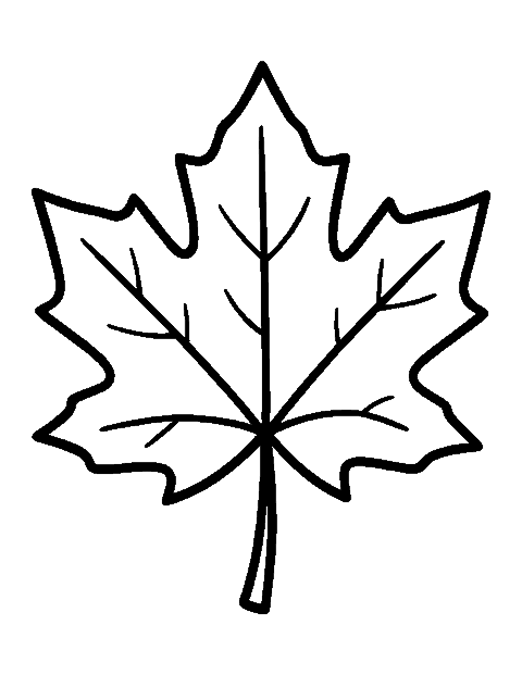 Line drawing of a single large maple leaf with bold veins