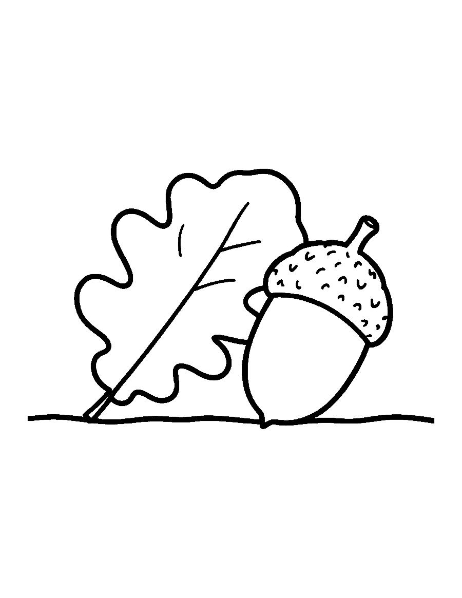 Line drawing of an oak leaf lying next to a large acorn