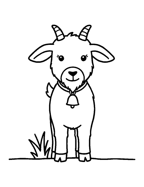 Line drawing of a young goat with tiny horns and a bell collar facing forward
