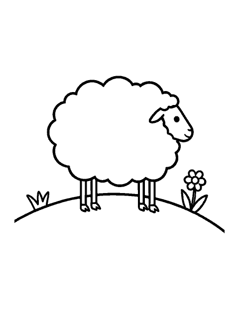 Line drawing of a fluffy sheep standing sideways on a small grassy hill