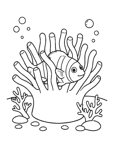 Line drawing of a striped clownfish peeking out of a sea anemone